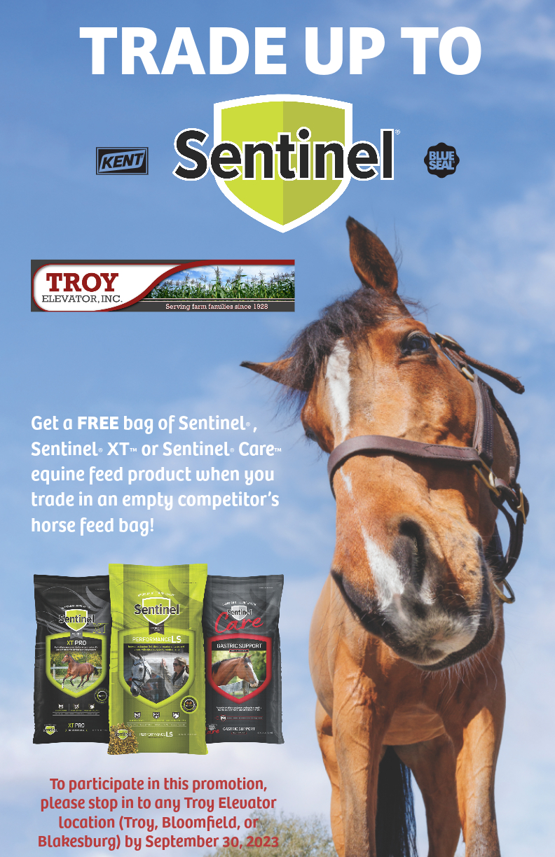 Troy Elevator, Inc. Homepage